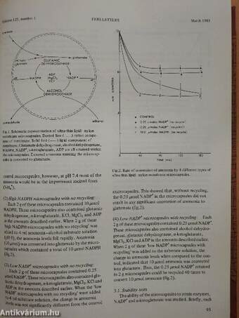 Febs Letters Volume 125, Number 1-2./Volume 126, Number 1-2.