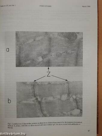 Febs Letters Volume 125, Number 1-2./Volume 126, Number 1-2.