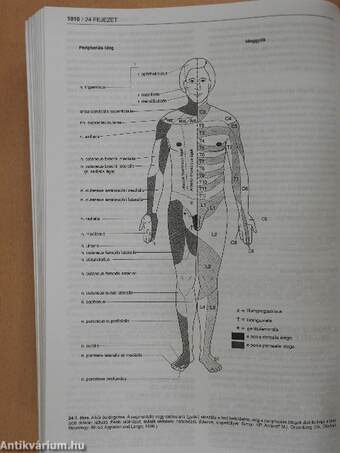 Korszerű orvosi diagnosztika és terápia 2000