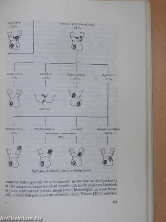 Az orvostudomány aktuális problémái 40.