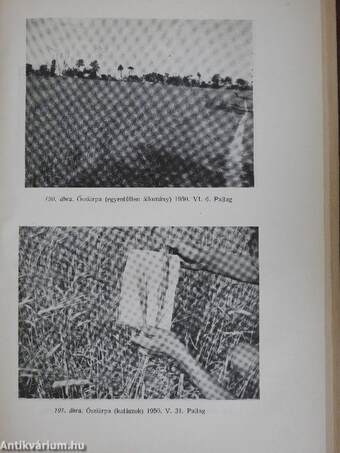 Mezőgazdasági meteorológia