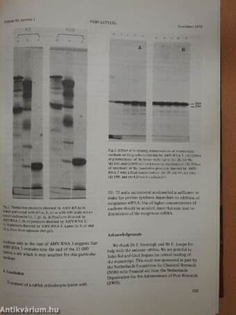 Febs Letters Volume 95, Number 1-2./Volume 96, Number 1-2.