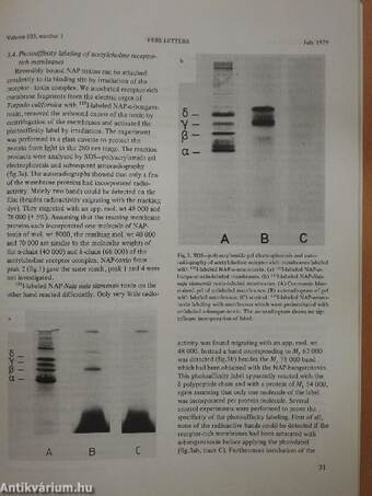 Febs Letters Volume 103, Number 1-2./Volume 104, Number 1-2.