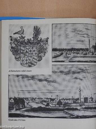 Vég-Gyula várának históriája