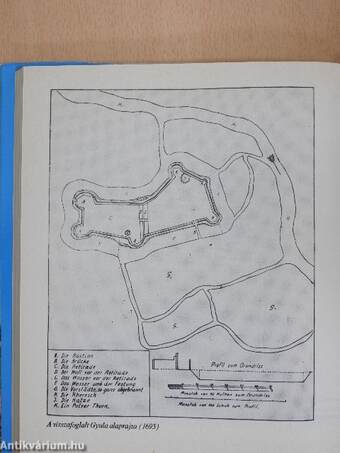 Vég-Gyula várának históriája