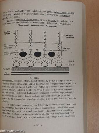 Mikrobiológia, immunológia, parazitológia