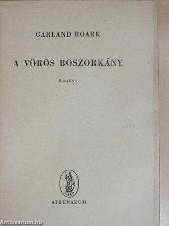 A vörös boszorkány