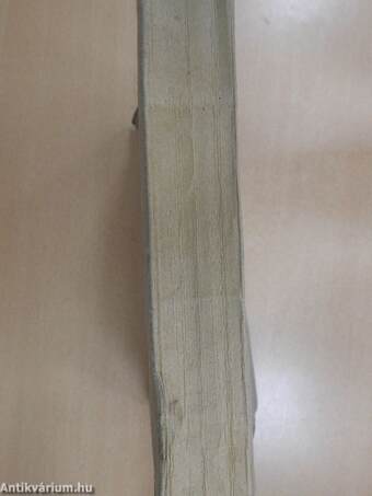 A vörös boszorkány