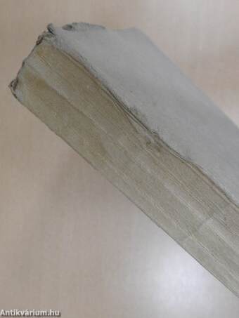 A vörös boszorkány