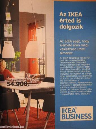 Ikea 2011