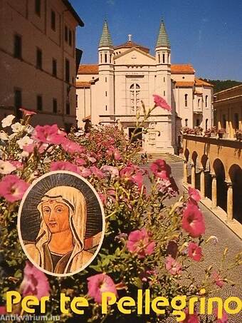 Per te Pellegrino