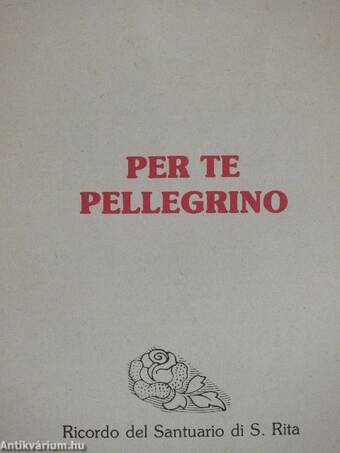Per te Pellegrino