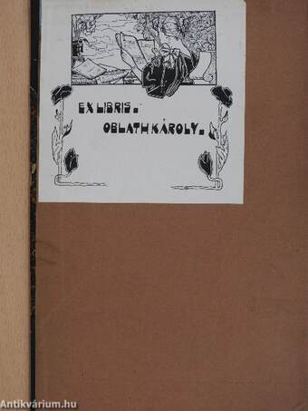 Német és magyar szótár I-II.