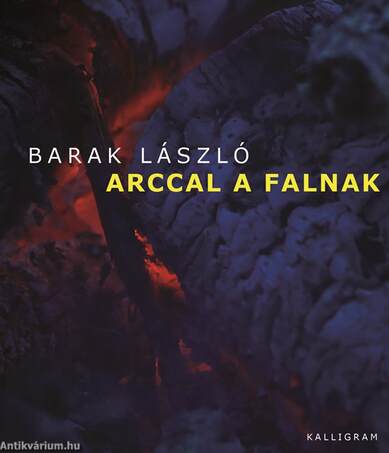 Arccal a falnak