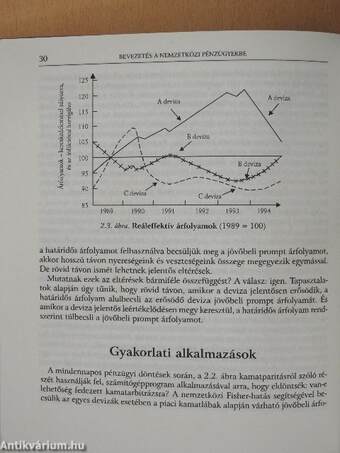 Bevezetés a nemzetközi pénzügyekbe