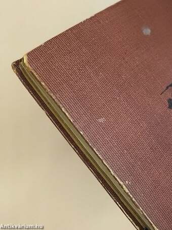 A pompeji strázsán