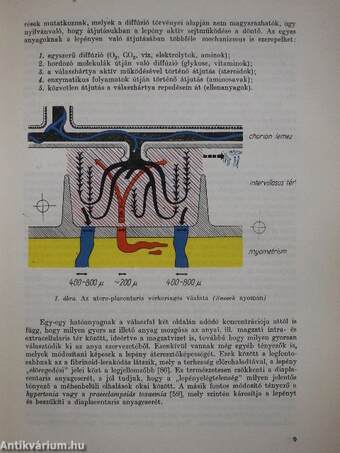 A therapia aktuális kérdései