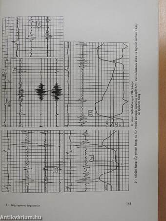 Belgyógyászati diagnosztika