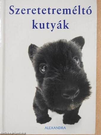 Szeretetreméltó kutyák