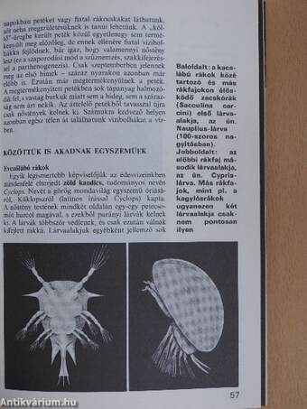Az állatvilág titkai
