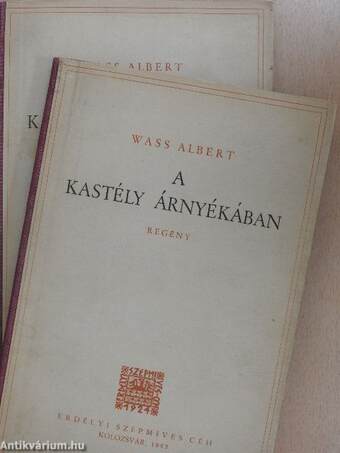 A kastély árnyékában I-II.