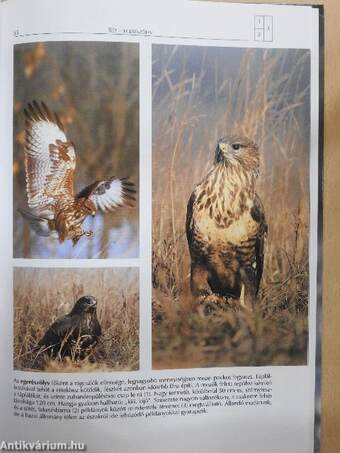 Természeti szépségeink