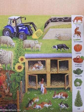 Állatok a tanyán