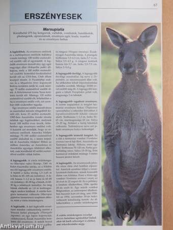 Guinness állatrekordok