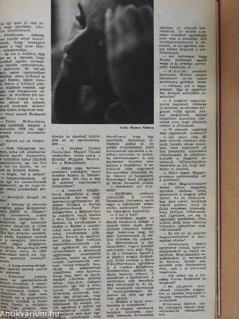 Film-Színház-Muzsika 1983. (nem teljes évfolyam) I-II.