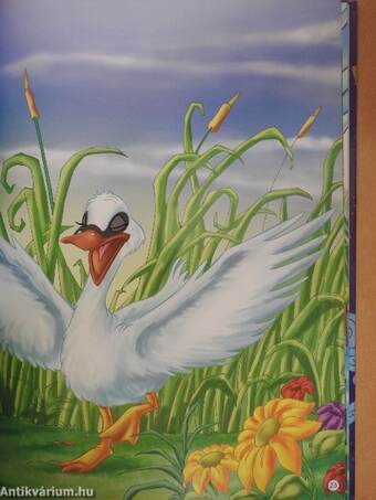 A rút kiskacsa - CD-vel