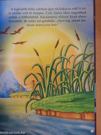 A rút kiskacsa - CD-vel