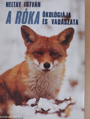 A róka ökológiája és vadászata