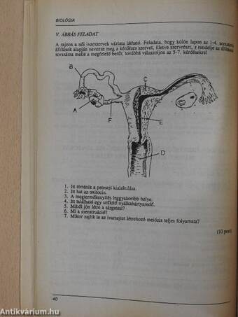 Felvételi feladatok és lehetőségek a felsőoktatási intézményekben 1991.