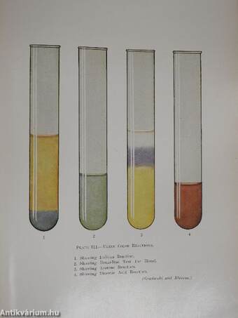 Clinical Laboratory Methods and Diagnosis I-II.