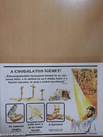 Az élet világossága