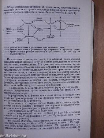 Sörfőzés (orosz nyelvű)