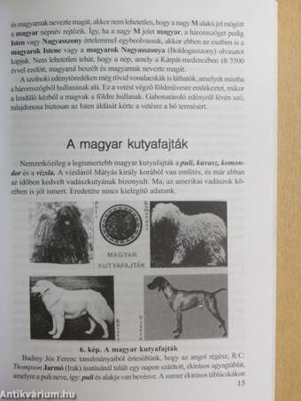 Olvasmányok múltunkról