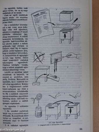 Méhek között