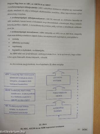 A controlling tudományos megközelítése és alkalmazása