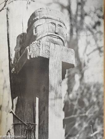 Művészet 1975. január-december