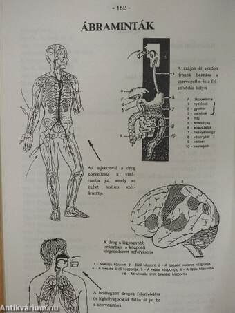 A drogmegelőzés pedagógiája