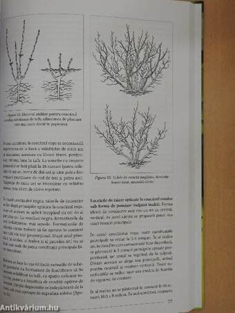 Lucrarile de taiere de la A la Z