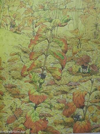 14 erdei kisegér - Őszi fesztivál (japán nyelvű)