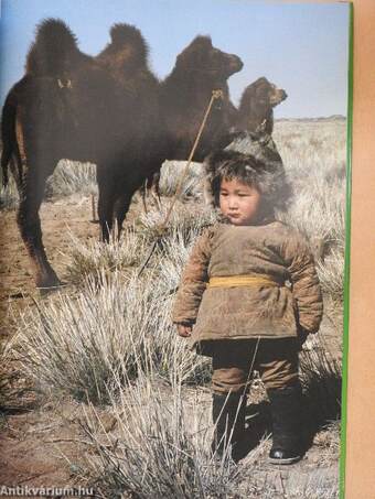 Children in Mongolia