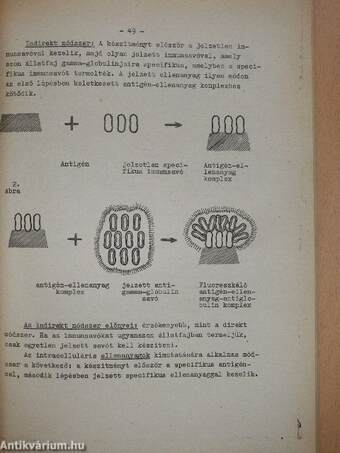 Mikrobiológiai gyakorlati jegyzet I-II.