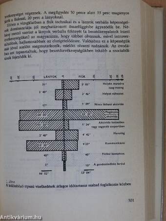 A női nem