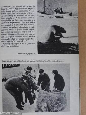 Az Élet és Tudomány Kalendáriuma 1980