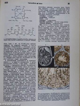 Egészségügyi ABC