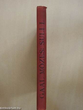 Suli viselt dolgai a polgári iskoláig