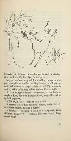 Őszi vásár (dedikált példány)